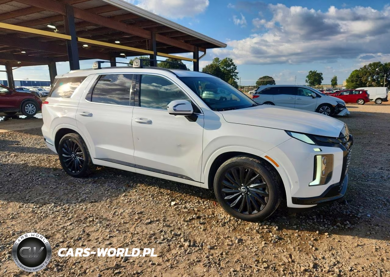 2024 Hyundai Palisade Calligraphy Night Edition VIN:KM8R7DGE6RU713014 - 4