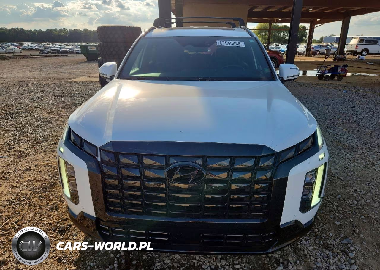 2024 Hyundai Palisade Calligraphy Night Edition VIN:KM8R7DGE6RU713014 - 5