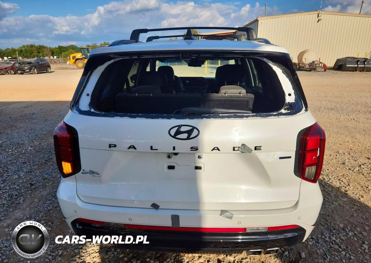 2024 Hyundai Palisade Calligraphy Night Edition VIN:KM8R7DGE6RU713014 - 6