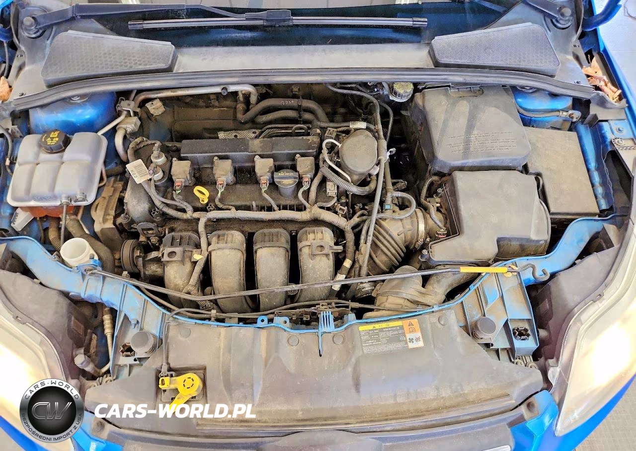 2014 Ford Focus Se VIN:1FADP3F22EL219741 - 11