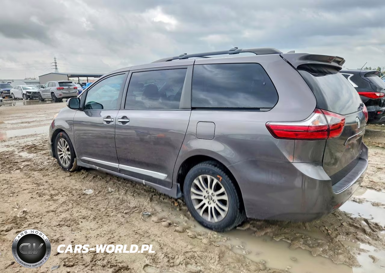 2019 Toyota Sienna Xle 8-Passenger VIN:5TDYZ3DC9KS969584 - 2
