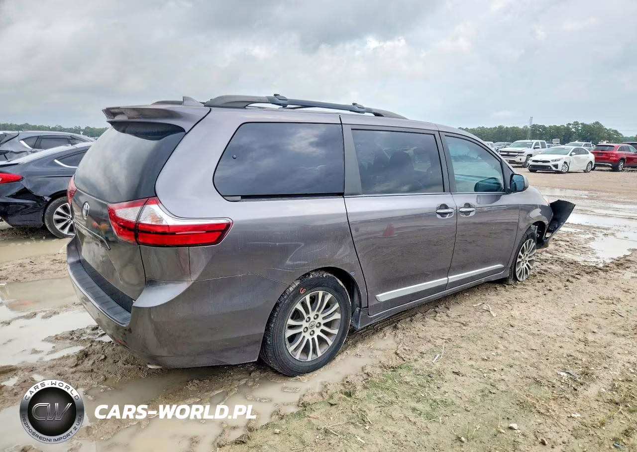2019 Toyota Sienna Xle 8-Passenger VIN:5TDYZ3DC9KS969584 - 3