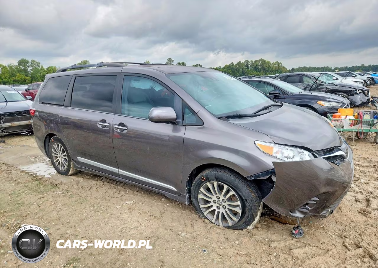 2019 Toyota Sienna Xle 8-Passenger VIN:5TDYZ3DC9KS969584 - 4
