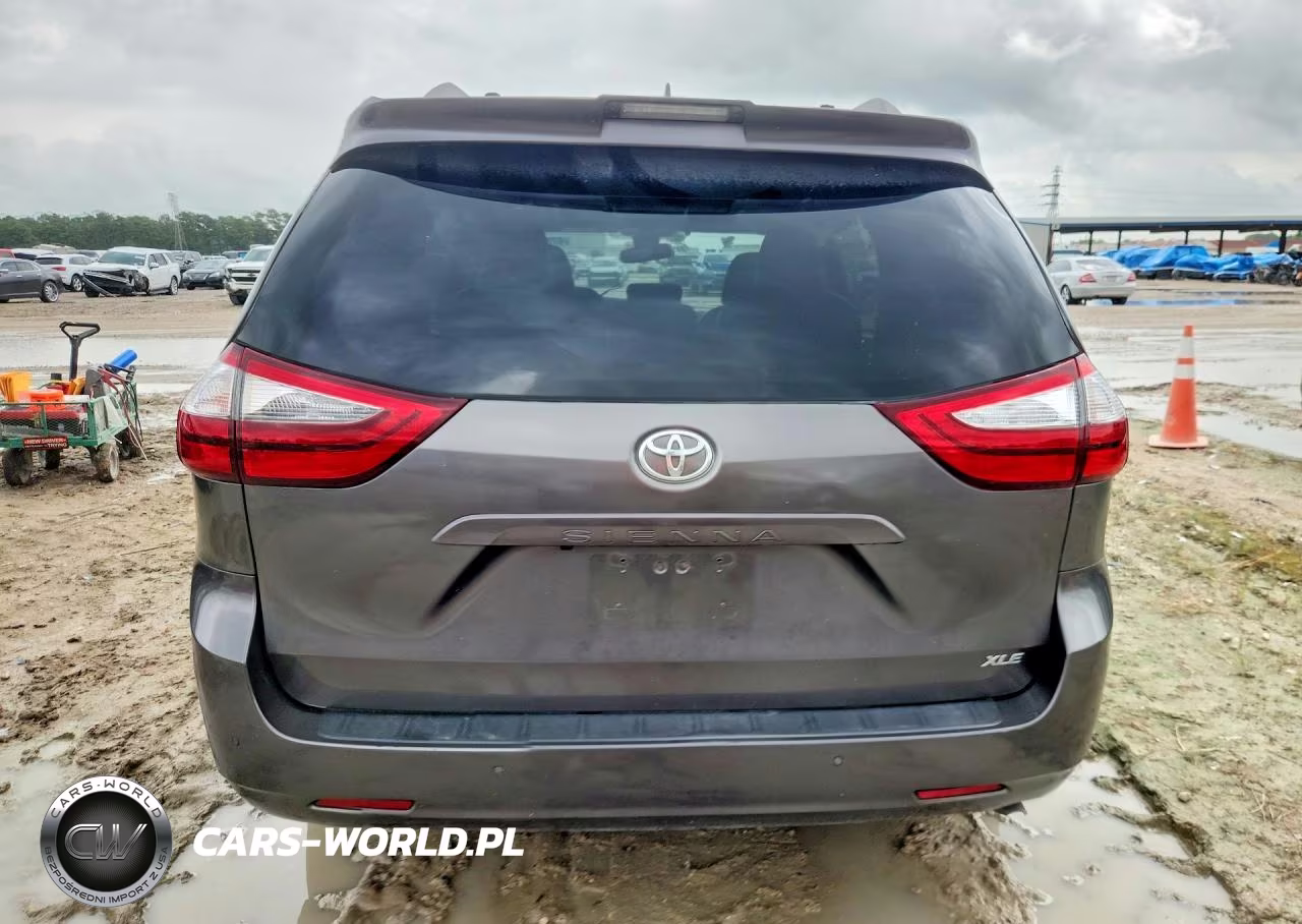2019 Toyota Sienna Xle 8-Passenger VIN:5TDYZ3DC9KS969584 - 6