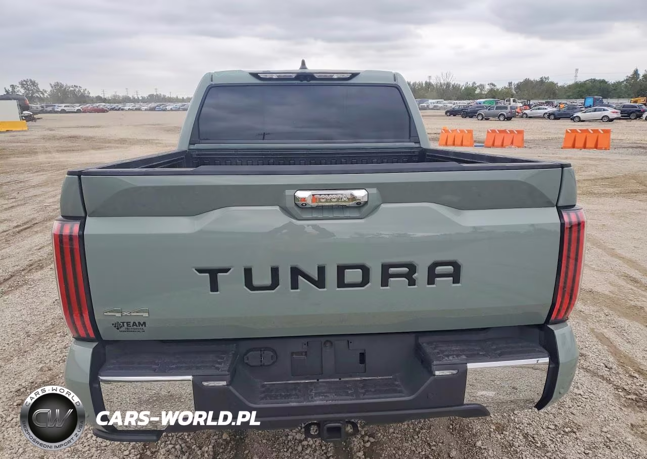 2024 Toyota Tundra 1794 Edition VIN:5TFMA5DB1RX165650 - 6