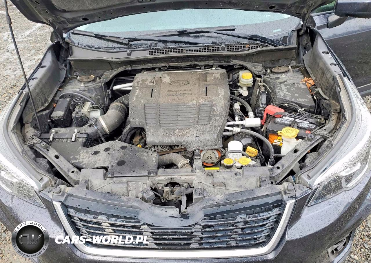 2019 Subaru Forester Premium VIN:JF2SKAECXKH419538 - 12