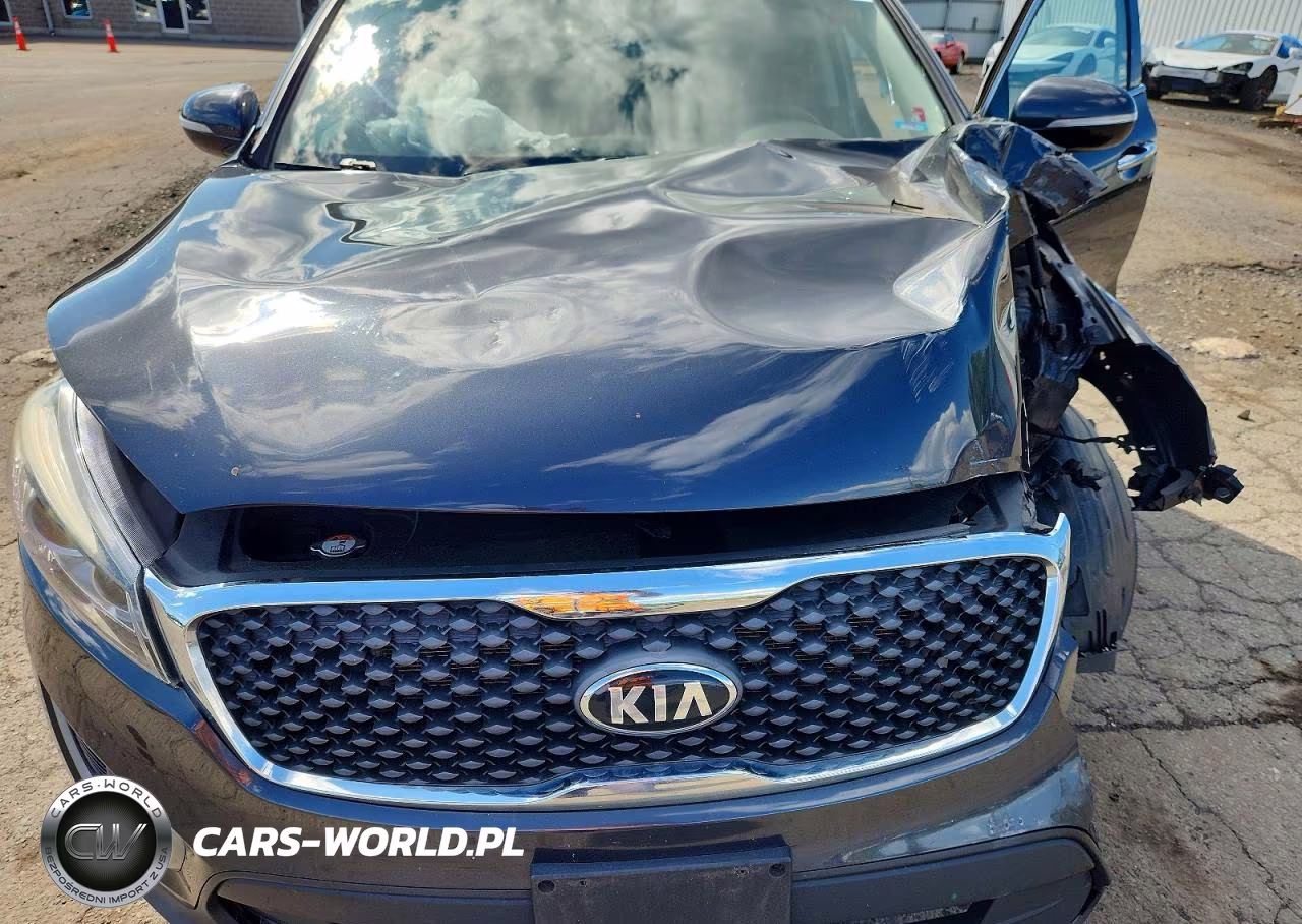 2018 Kia Sorento Lx VIN:5XYPGDA35JG407169 - 12