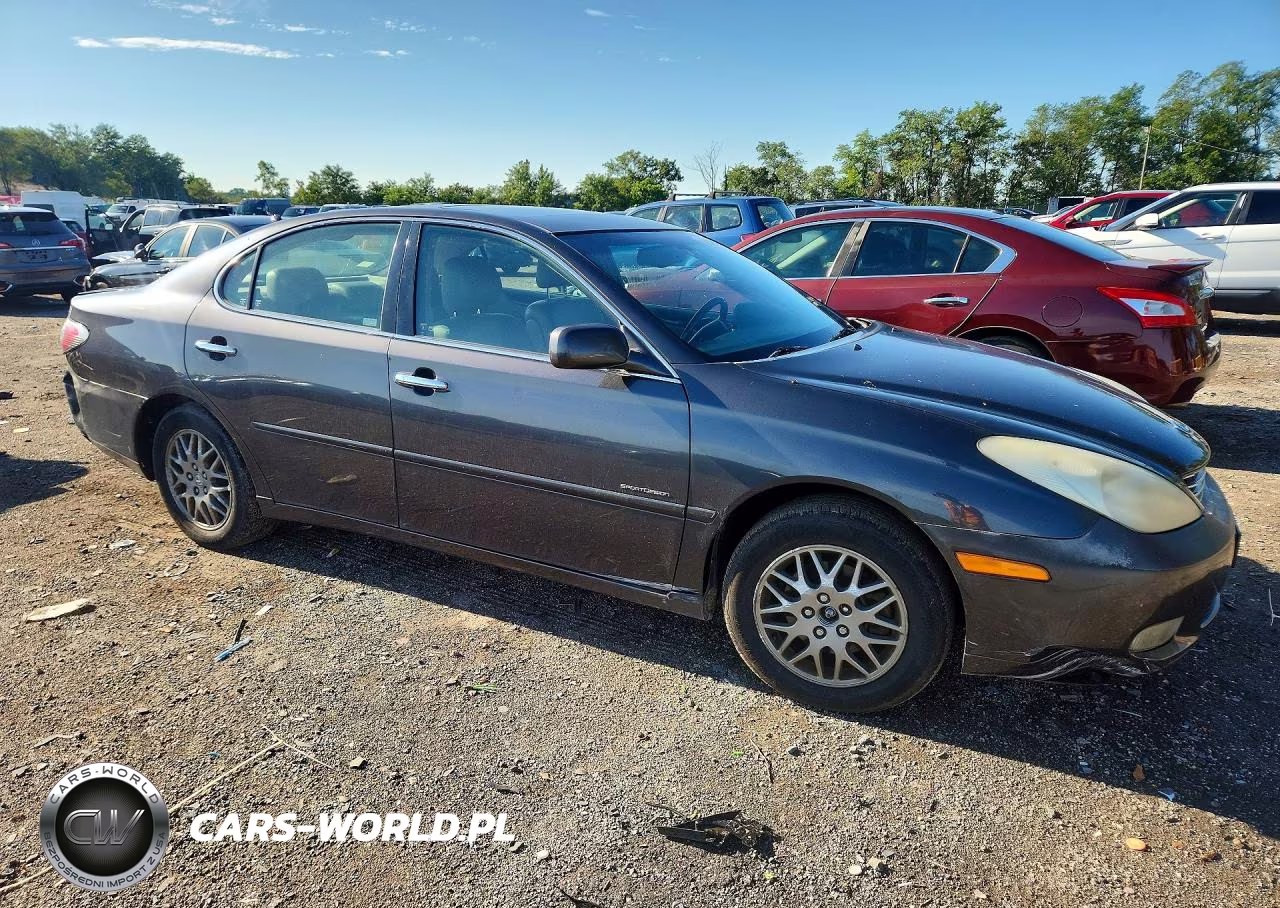 2004 Lexus Es 330 VIN:JTHBA30G545055149 - 4