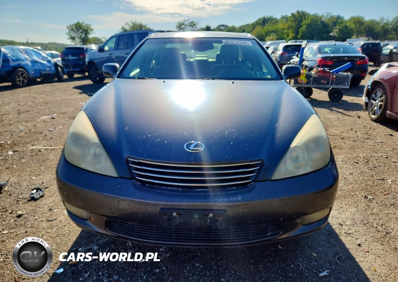 2004 Lexus Es 330 VIN:JTHBA30G545055149 - 5