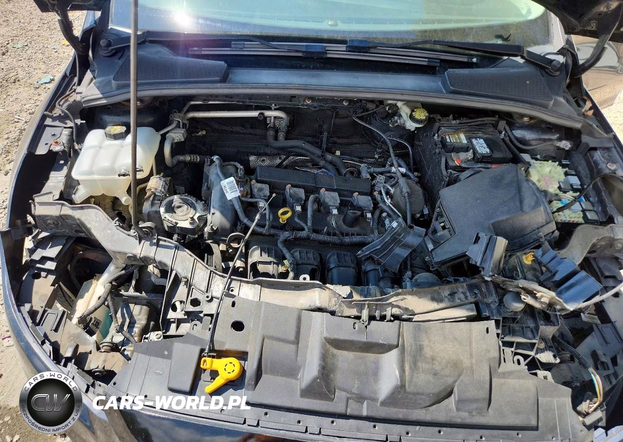 2015 Ford Focus Se VIN:1FADP3F2XFL365046 - 11