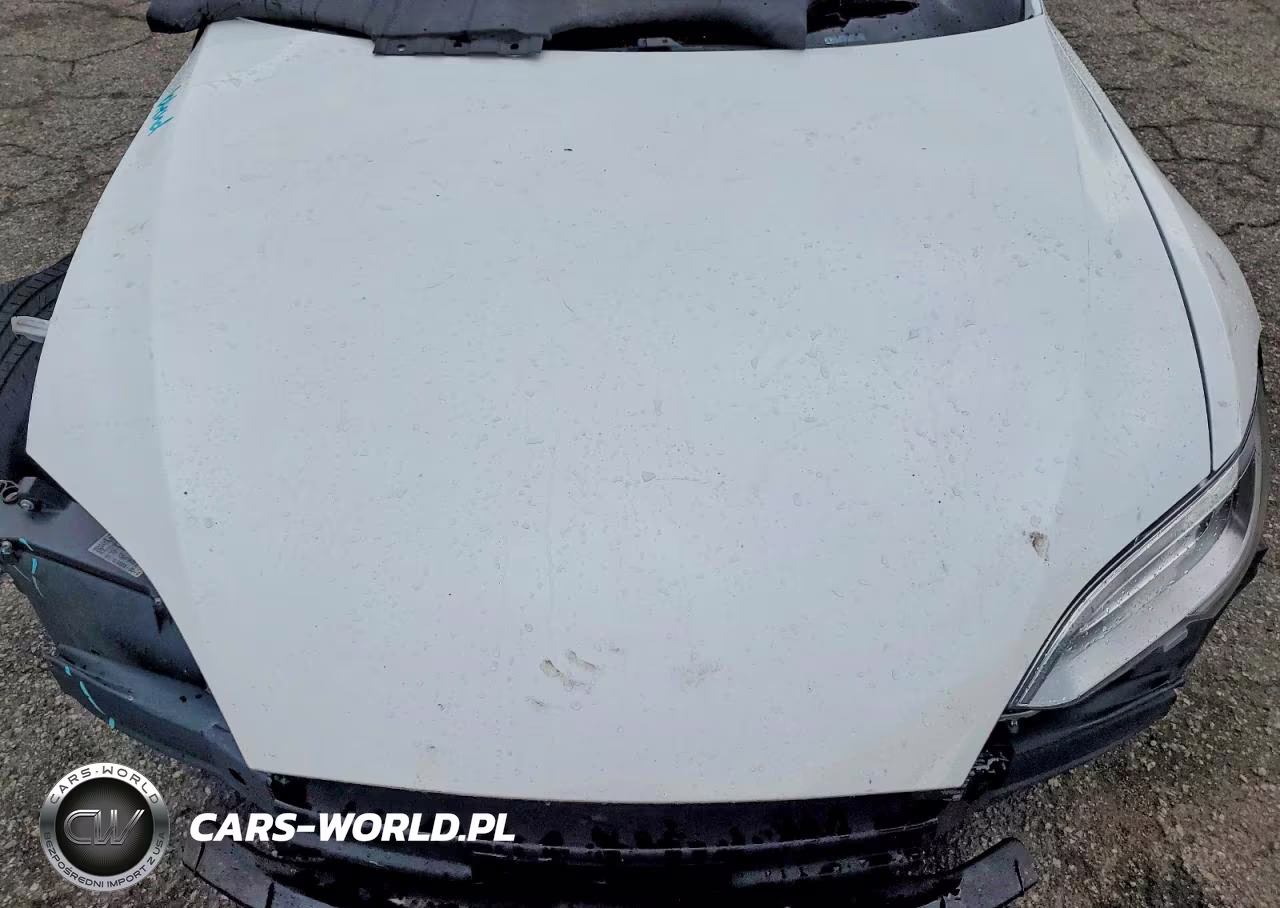 2021 Tesla Model S VIN:5YJSA1E2XMF423715 - 11