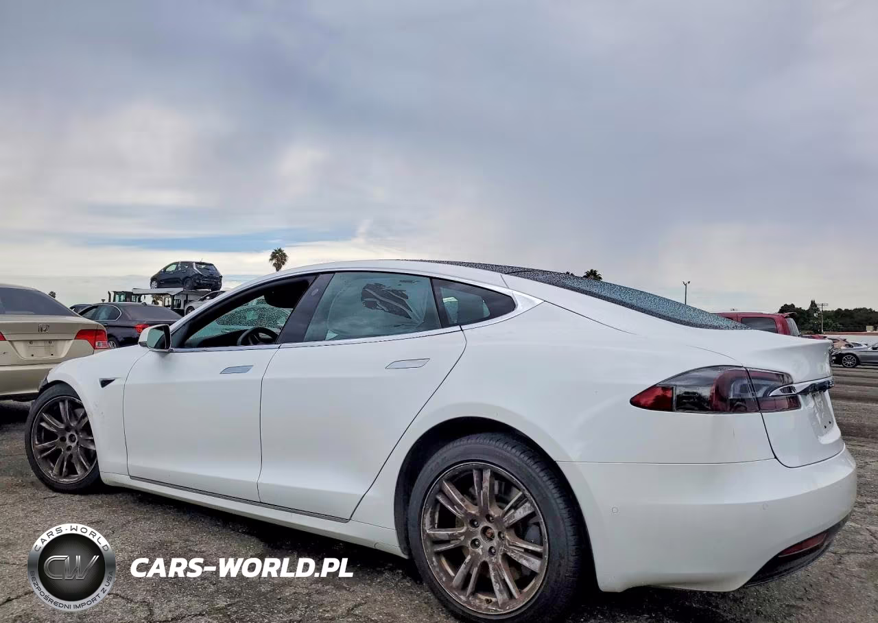 2021 Tesla Model S VIN:5YJSA1E2XMF423715 - 2