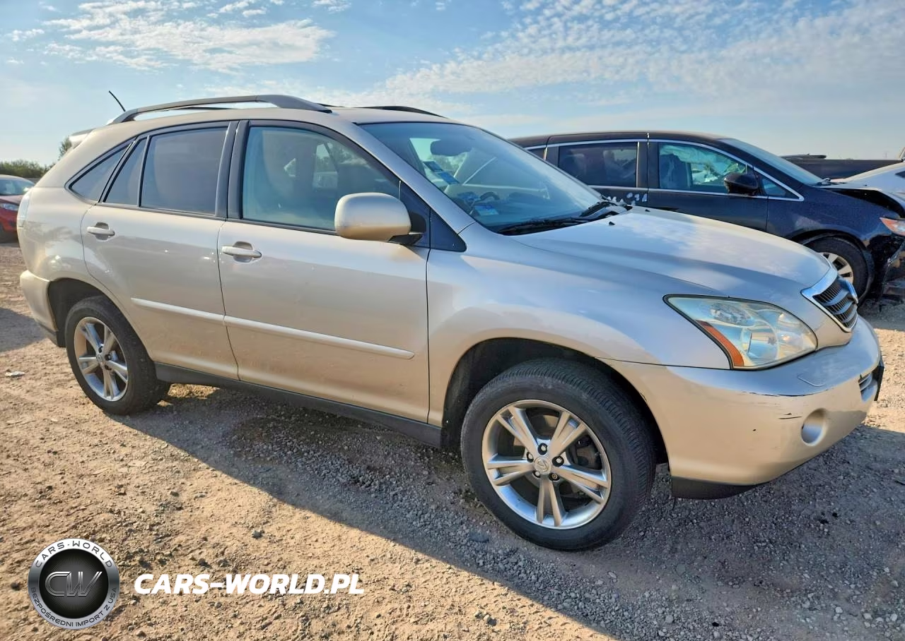 2006 Lexus Rx 400 VIN:JTJHW31U060003054 - 4