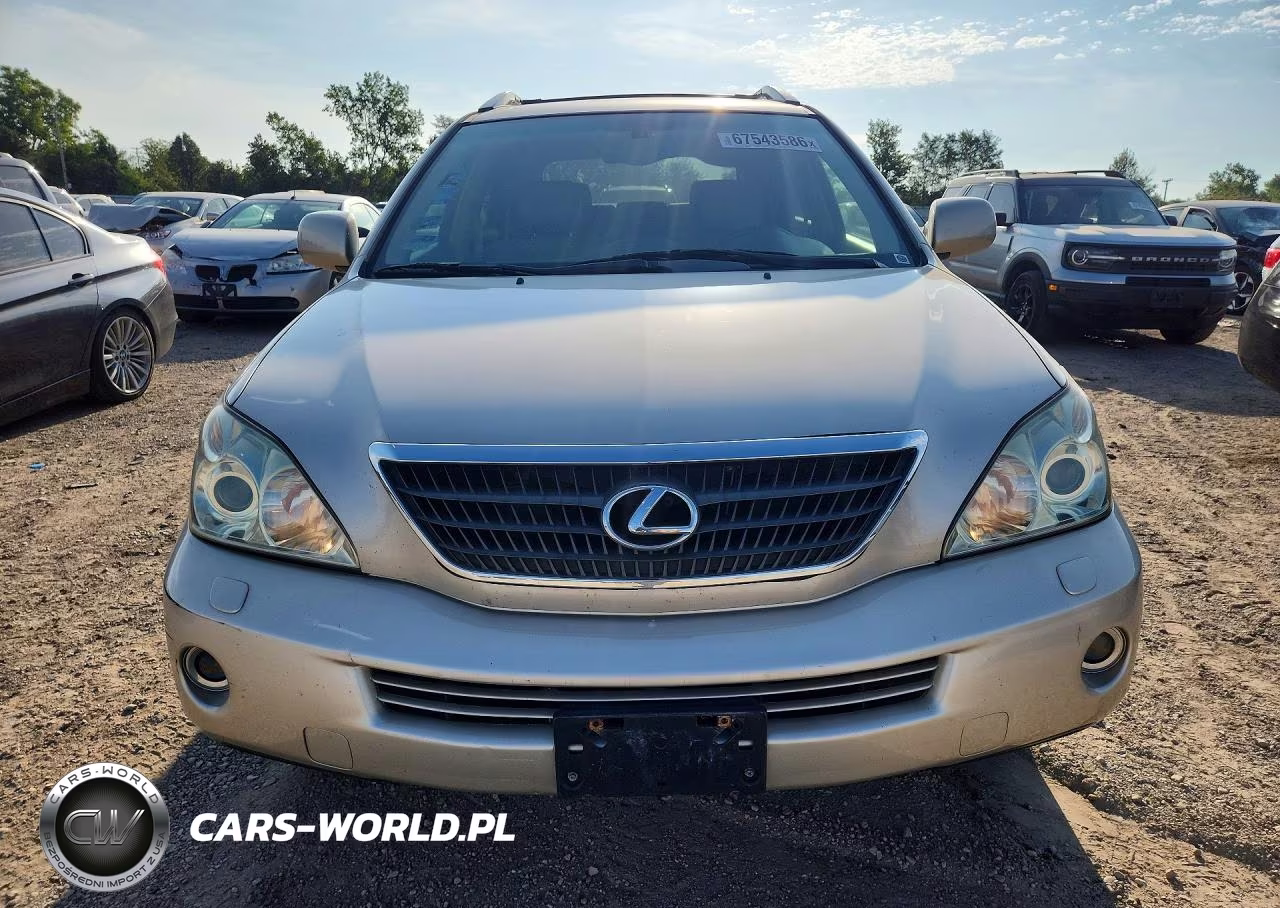 2006 Lexus Rx 400 VIN:JTJHW31U060003054 - 5