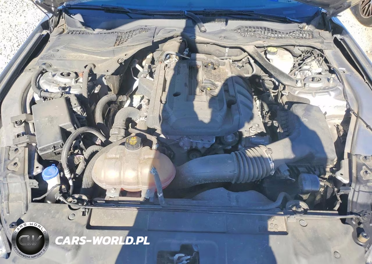 2020 Ford Mustang VIN:1FATP8UH1L5125786 - 11