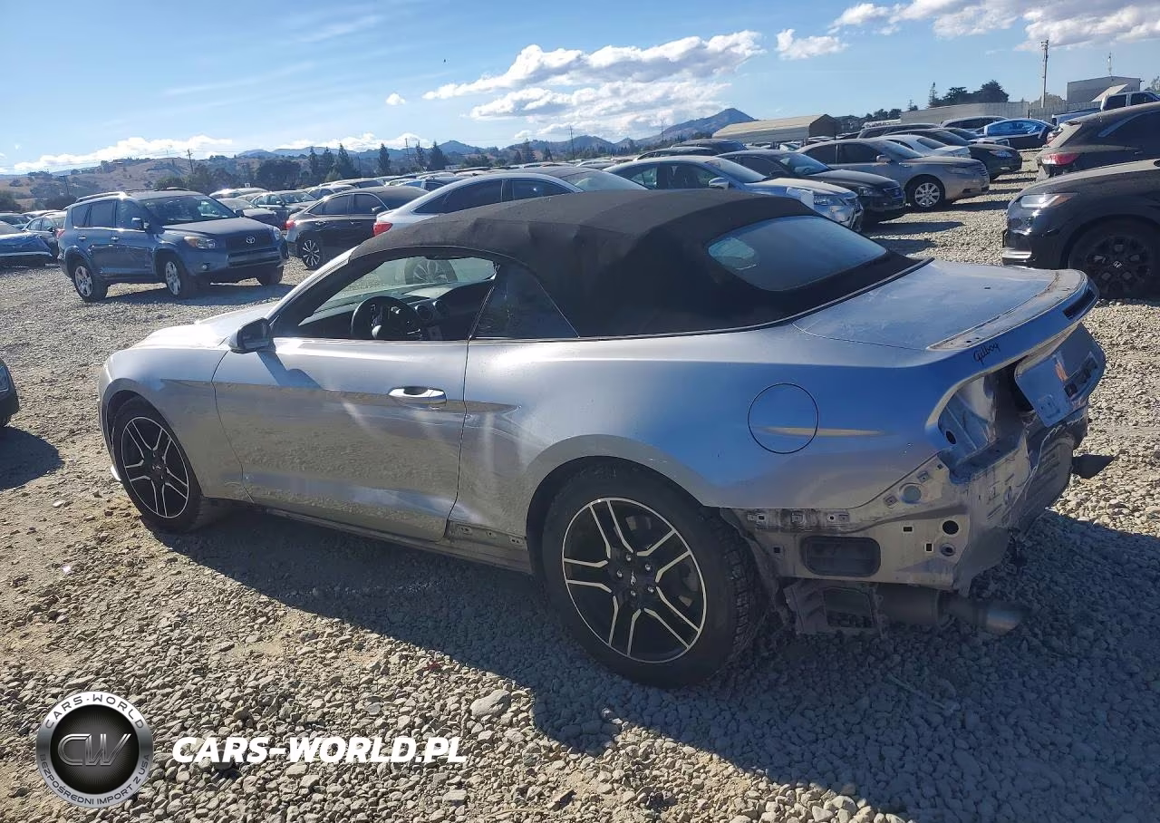 2020 Ford Mustang VIN:1FATP8UH1L5125786 - 2