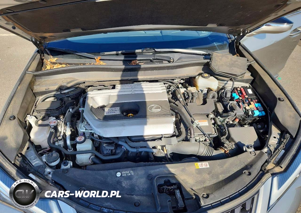2020 Lexus Ux 250H VIN:JTHP9JBH1L2033979 - 11