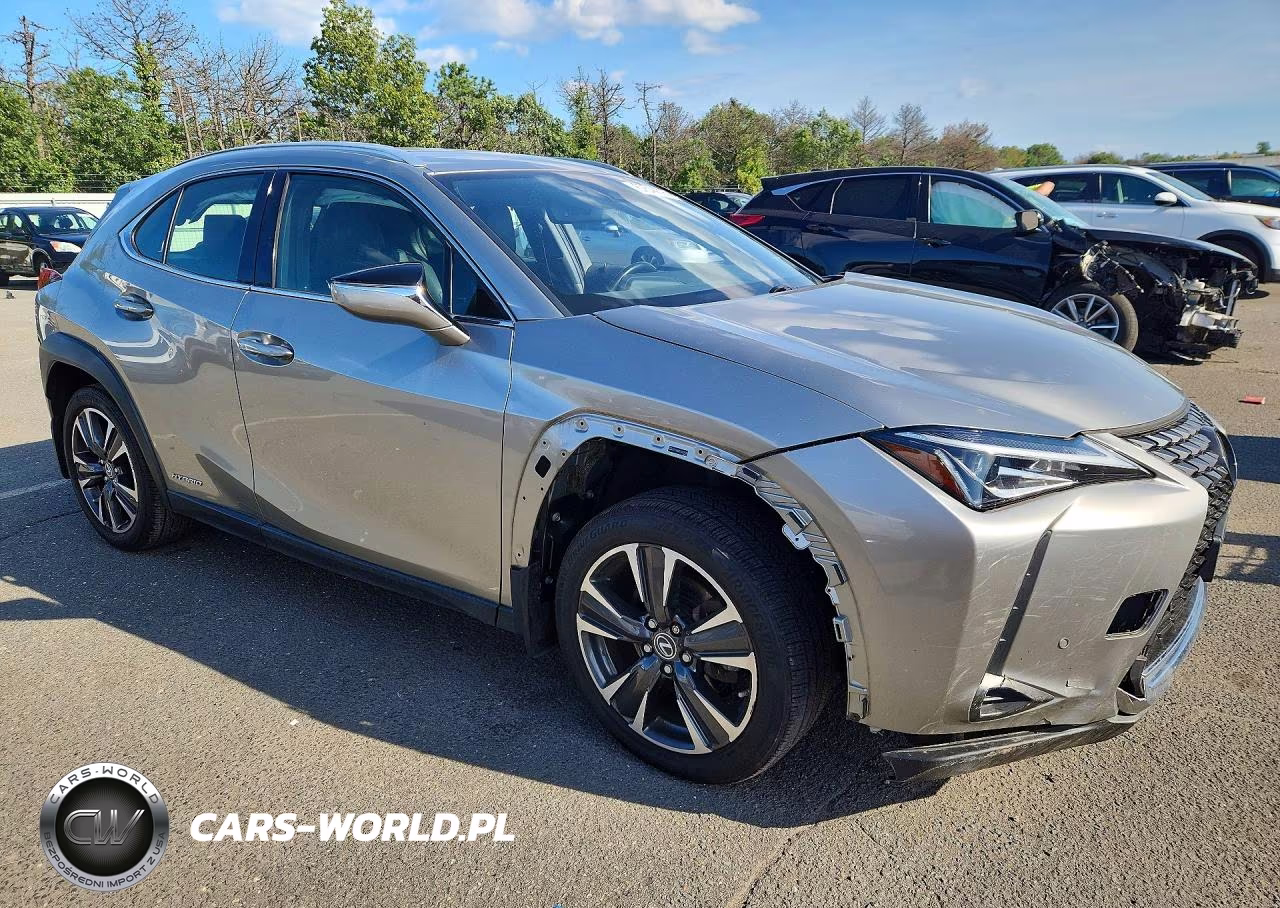 2020 Lexus Ux 250H VIN:JTHP9JBH1L2033979 - 4
