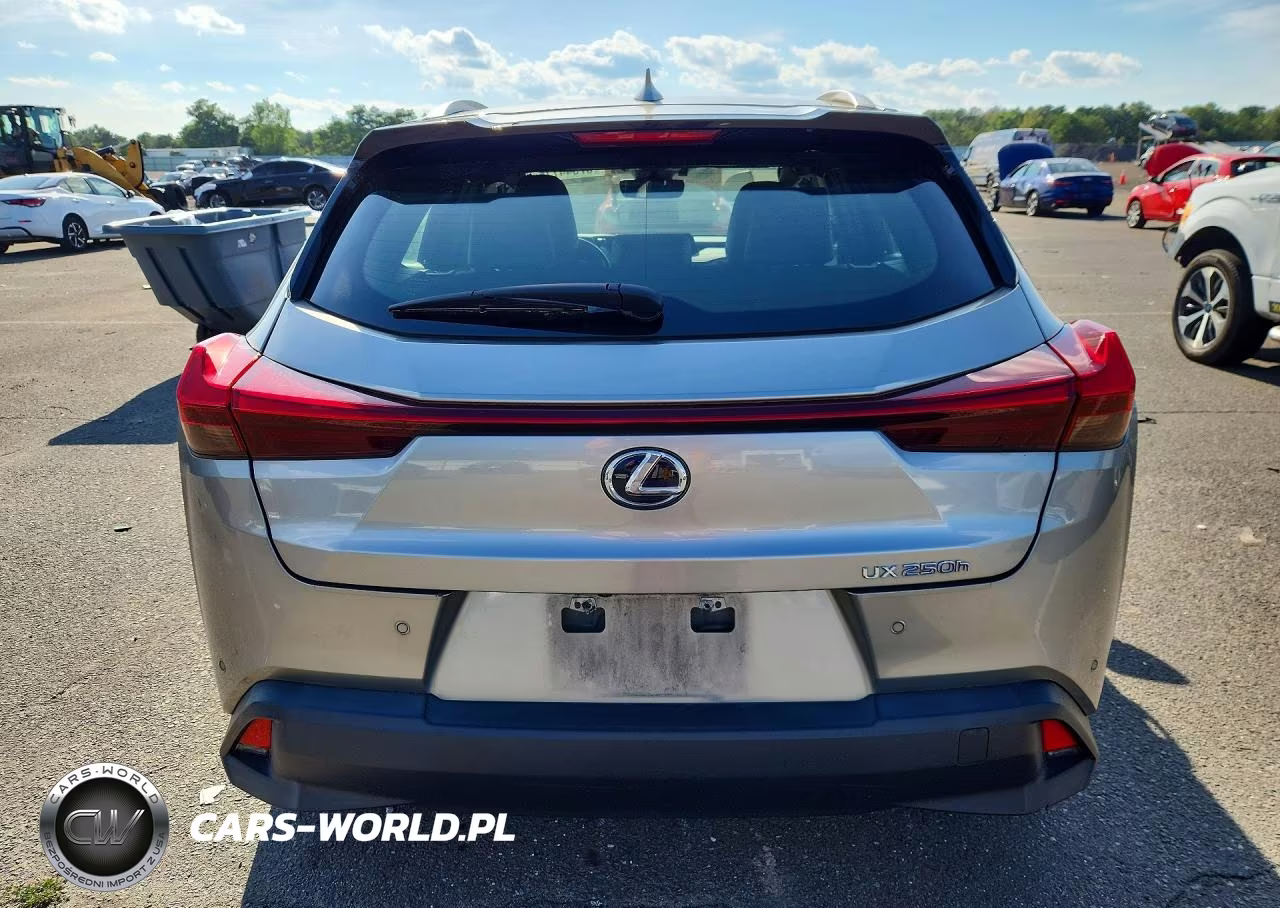 2020 Lexus Ux 250H VIN:JTHP9JBH1L2033979 - 6