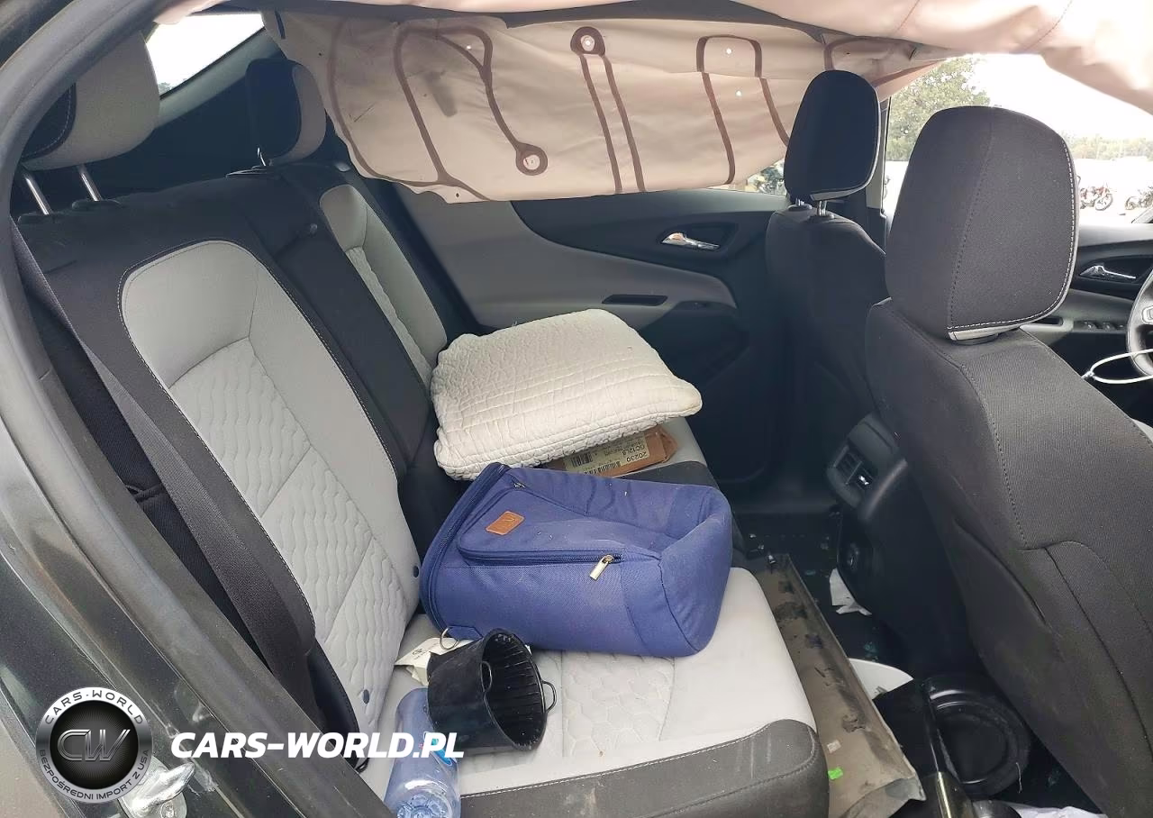 2020 Chevrolet Equinox Ls VIN:2GNAXSEV0L6252009 - 10