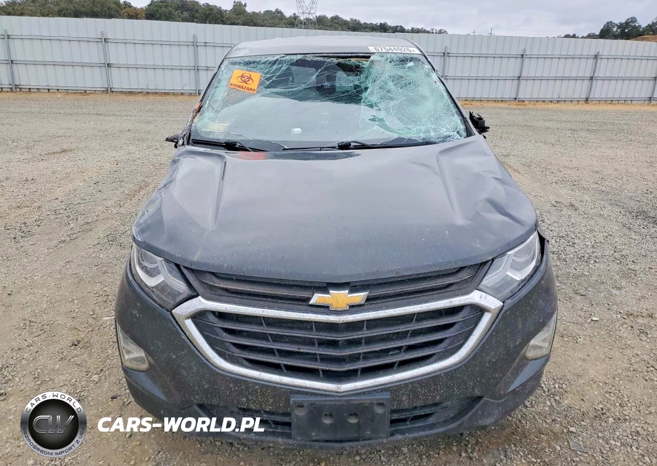 2020 Chevrolet Equinox Ls VIN:2GNAXSEV0L6252009 - 5