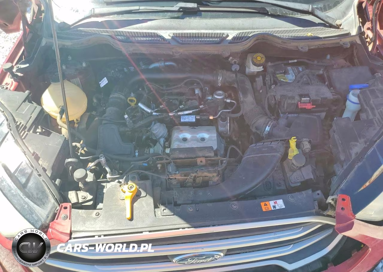 2018 Ford Ecosport Se VIN:MAJ3P1TE5JC202117 - 11