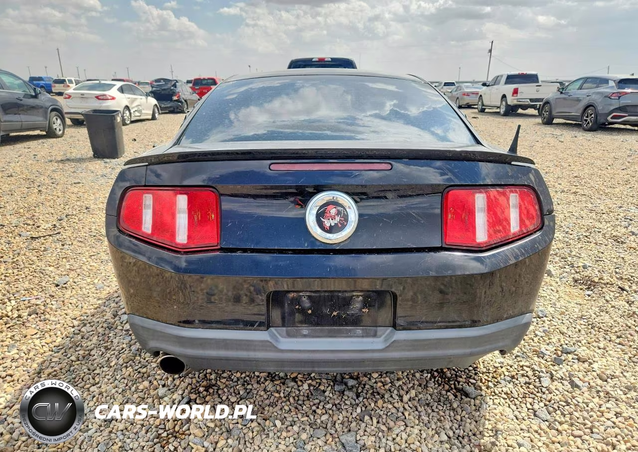 2010 Ford Mustang Gt VIN:1ZVBP8CH3A5145345 - 6