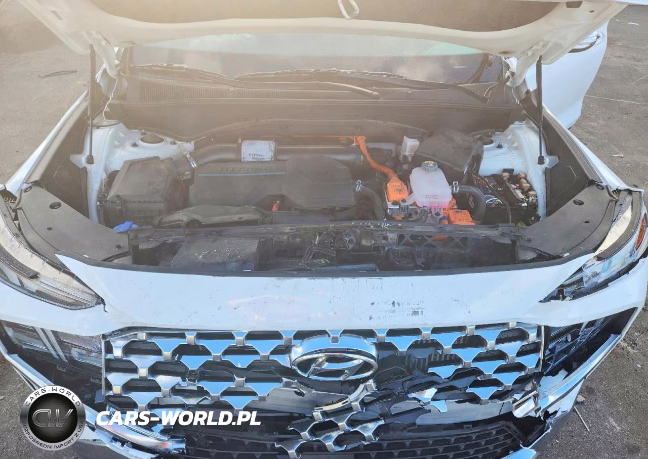 2023 Hyundai Santa Fe Blue VIN:5NMS2DA11PH010919 - 11