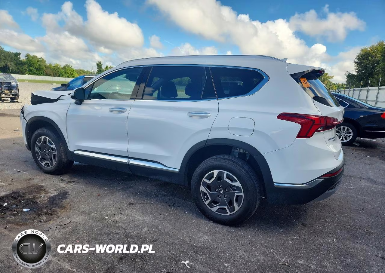 2023 Hyundai Santa Fe Blue VIN:5NMS2DA11PH010919 - 2