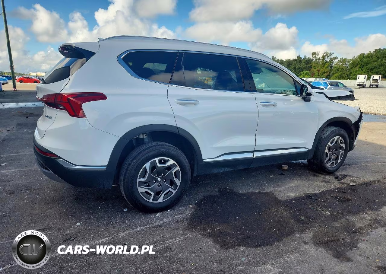 2023 Hyundai Santa Fe Blue VIN:5NMS2DA11PH010919 - 3