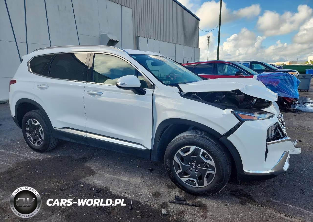 2023 Hyundai Santa Fe Blue VIN:5NMS2DA11PH010919 - 4