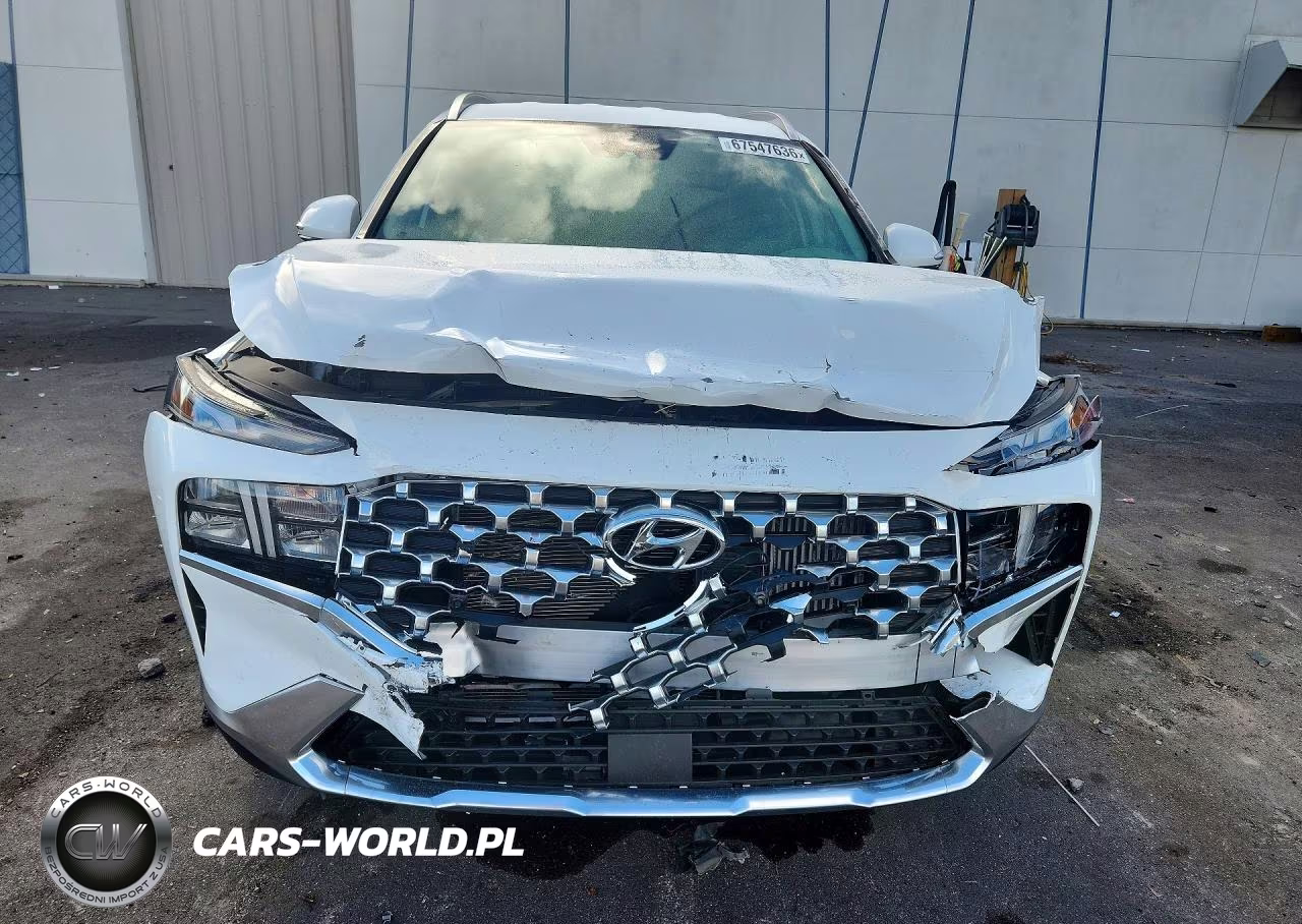 2023 Hyundai Santa Fe Blue VIN:5NMS2DA11PH010919 - 5