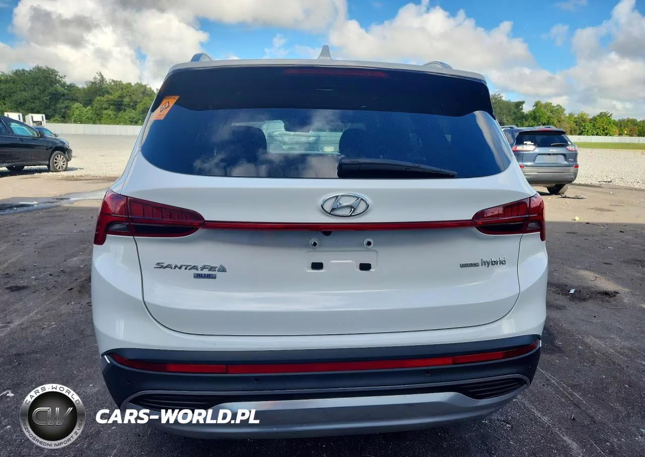 2023 Hyundai Santa Fe Blue VIN:5NMS2DA11PH010919 - 6