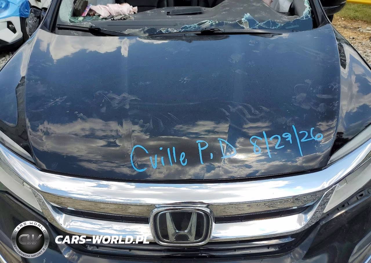 2020 Honda Pilot Touring VIN:5FNYF5H64LB018465 - 12