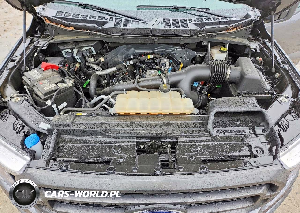 2023 Ford F150 Supercrew VIN:1FTEW1EP9PKE11654 - 11