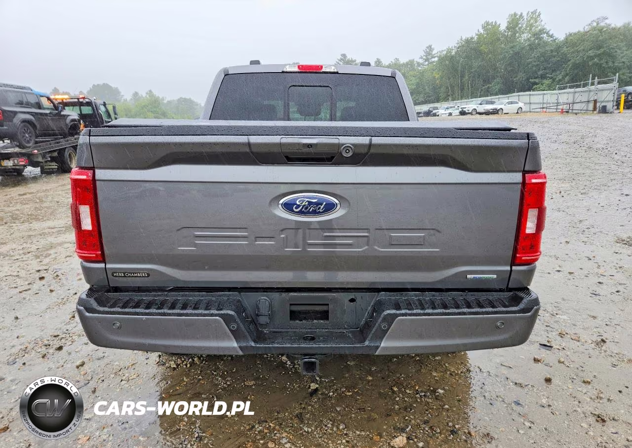 2023 Ford F150 Supercrew VIN:1FTEW1EP9PKE11654 - 6