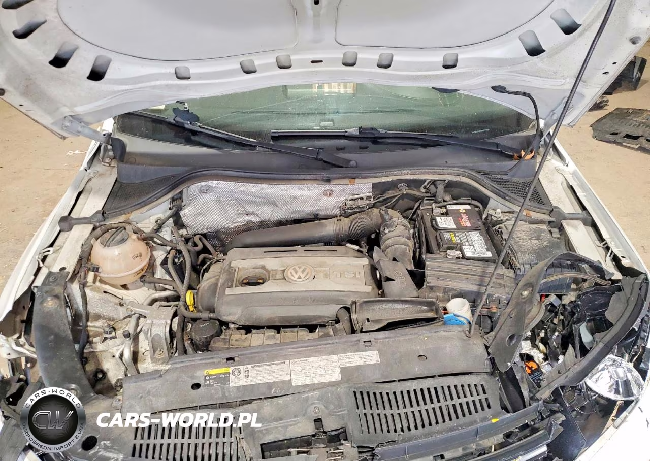 2013 Volkswagen Tiguan S VIN:WVGAV3AX4DW611019 - 12