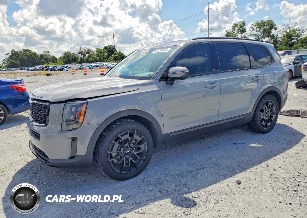 2022 Kia Telluride Ex VIN:5XYP3DHC0NG325051 - 1
