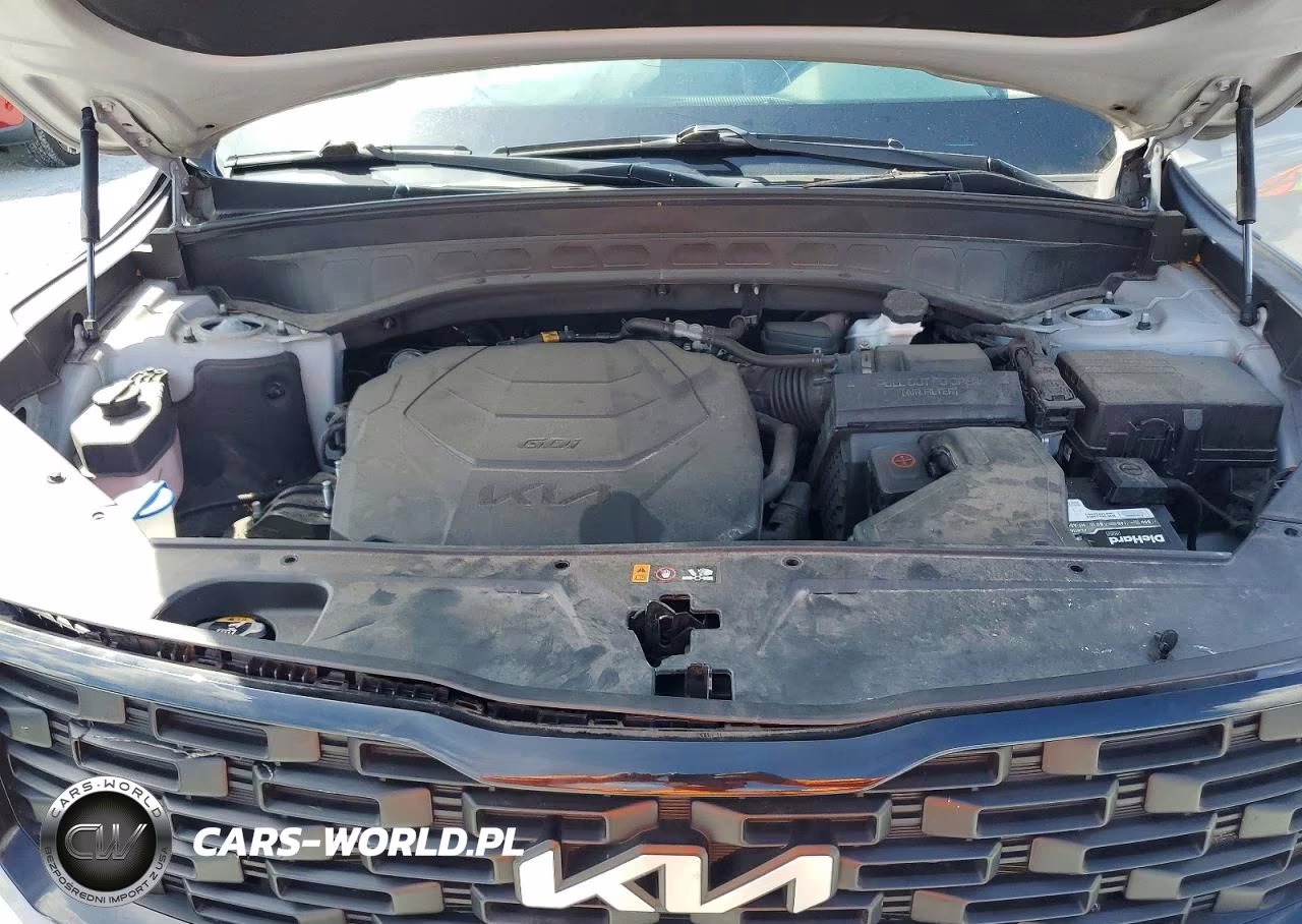 2022 Kia Telluride Ex VIN:5XYP3DHC0NG325051 - 12