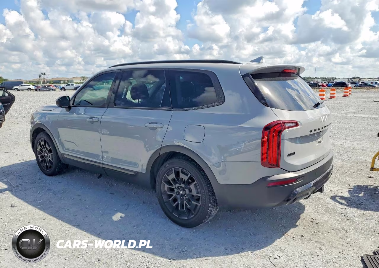 2022 Kia Telluride Ex VIN:5XYP3DHC0NG325051 - 2