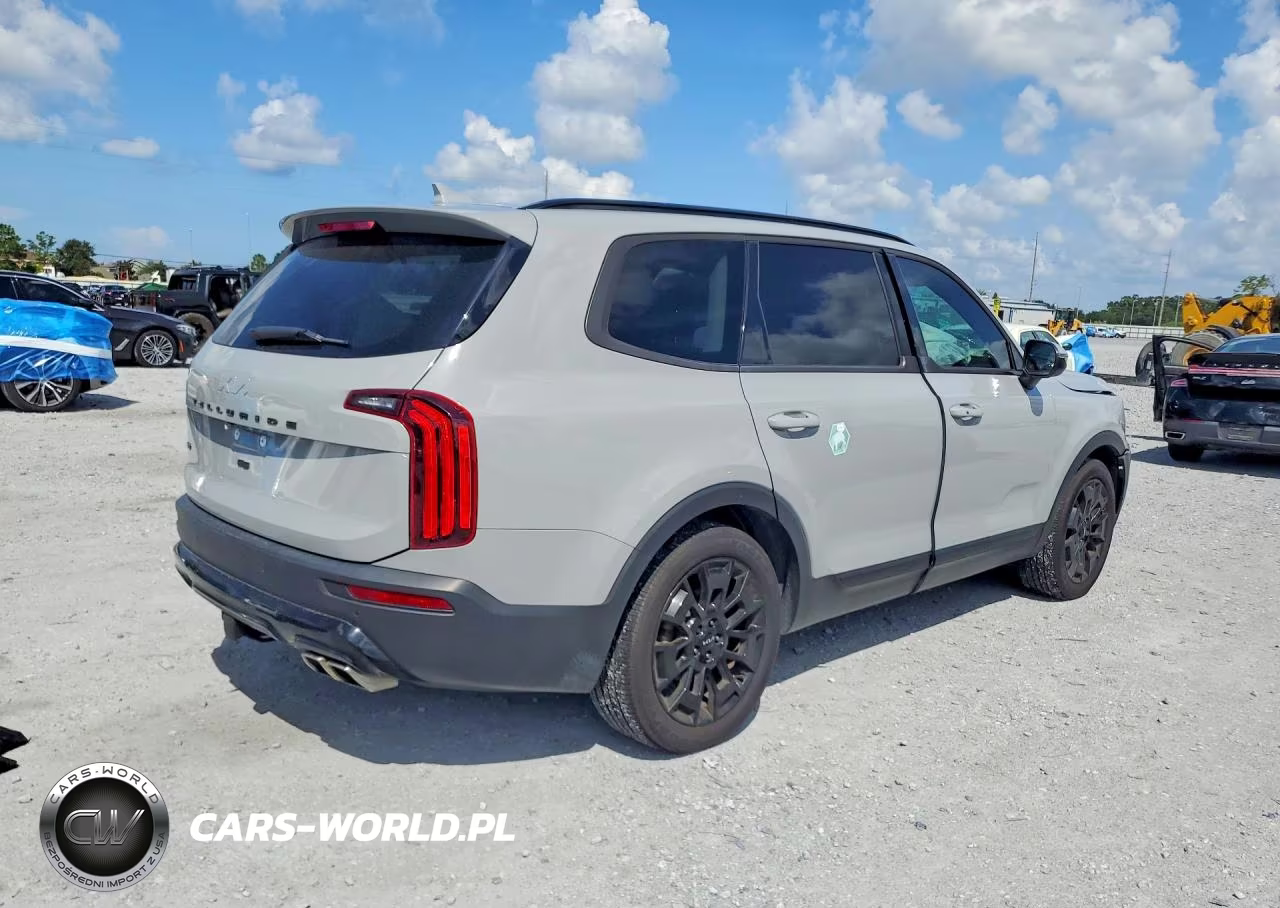2022 Kia Telluride Ex VIN:5XYP3DHC0NG325051 - 3