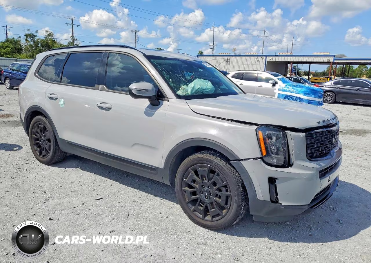 2022 Kia Telluride Ex VIN:5XYP3DHC0NG325051 - 4