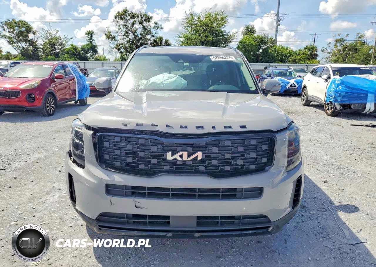 2022 Kia Telluride Ex VIN:5XYP3DHC0NG325051 - 5