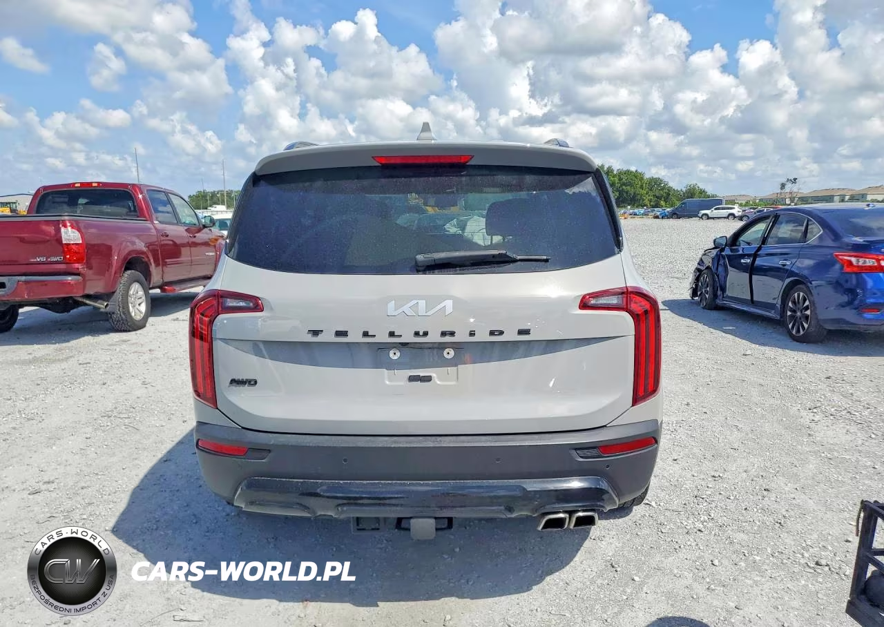 2022 Kia Telluride Ex VIN:5XYP3DHC0NG325051 - 6