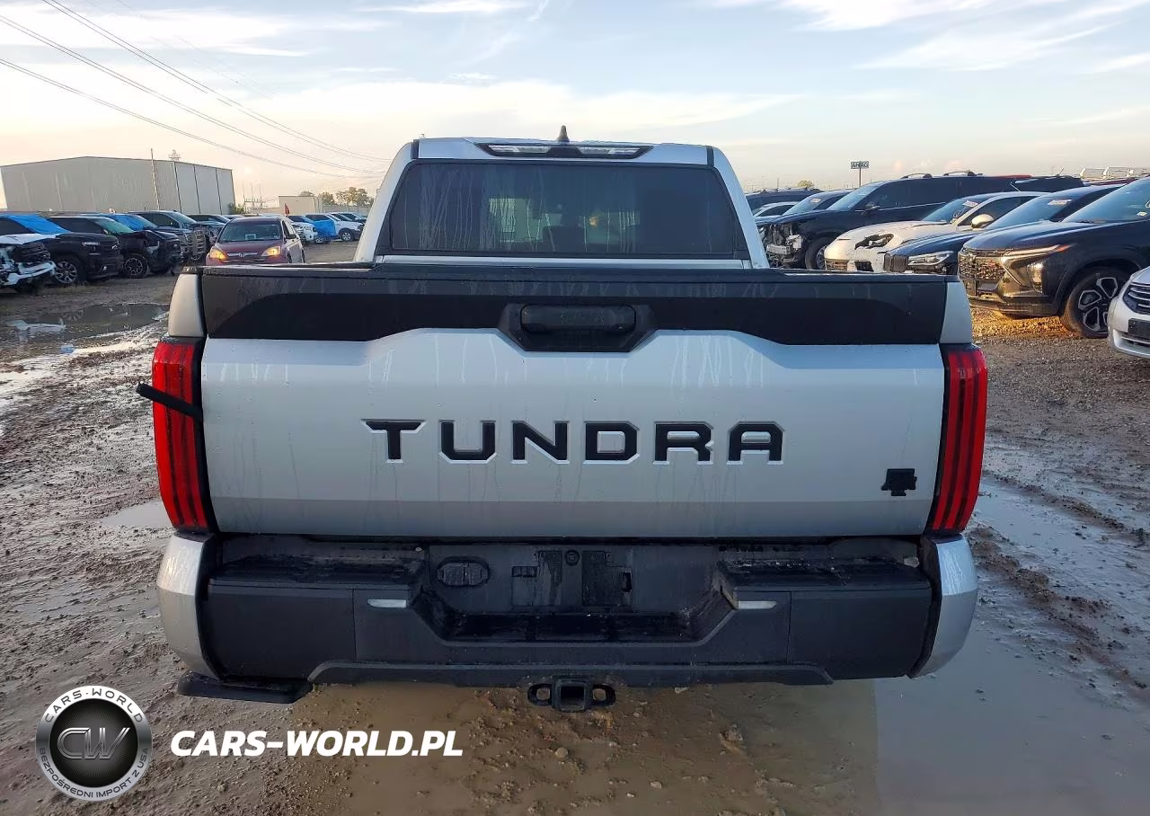 2024 Toyota Tundra Sr5 VIN:5TFLA5AB6RX033659 - 6