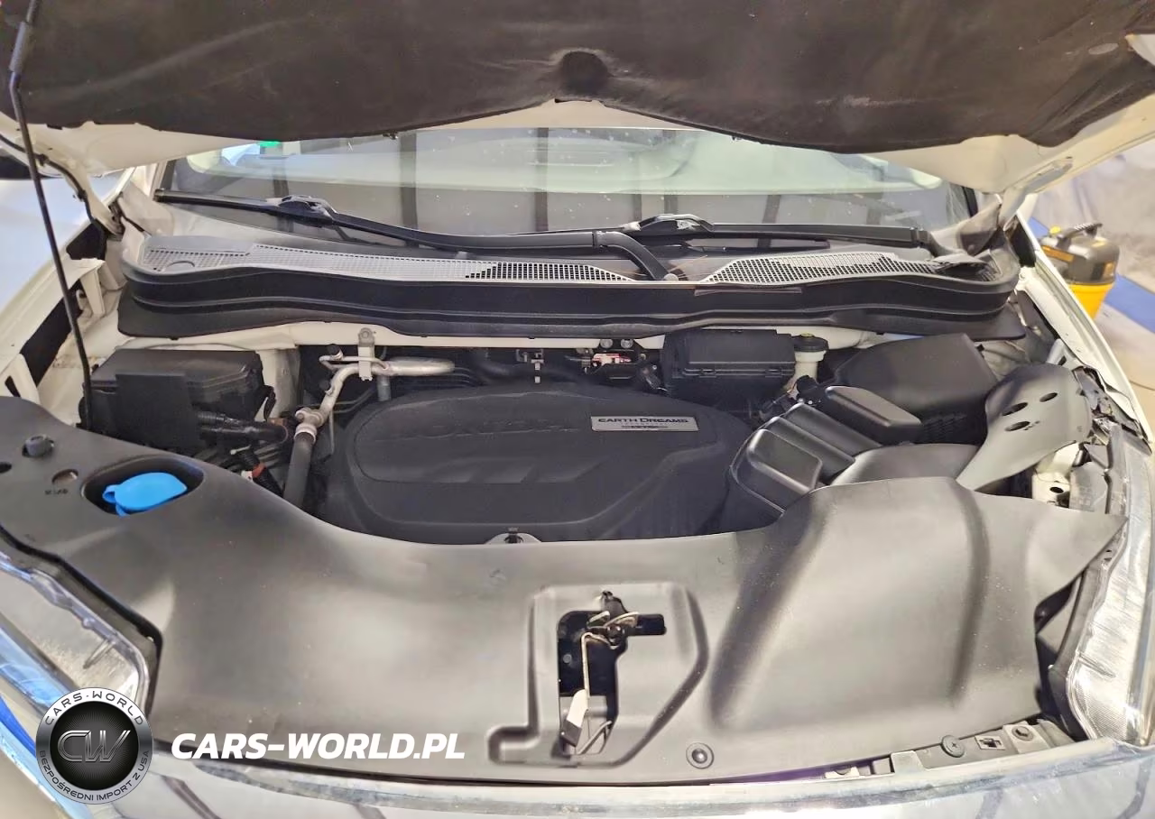 2019 Honda Pilot Elite VIN:5FNYF6H02KB029500 - 12