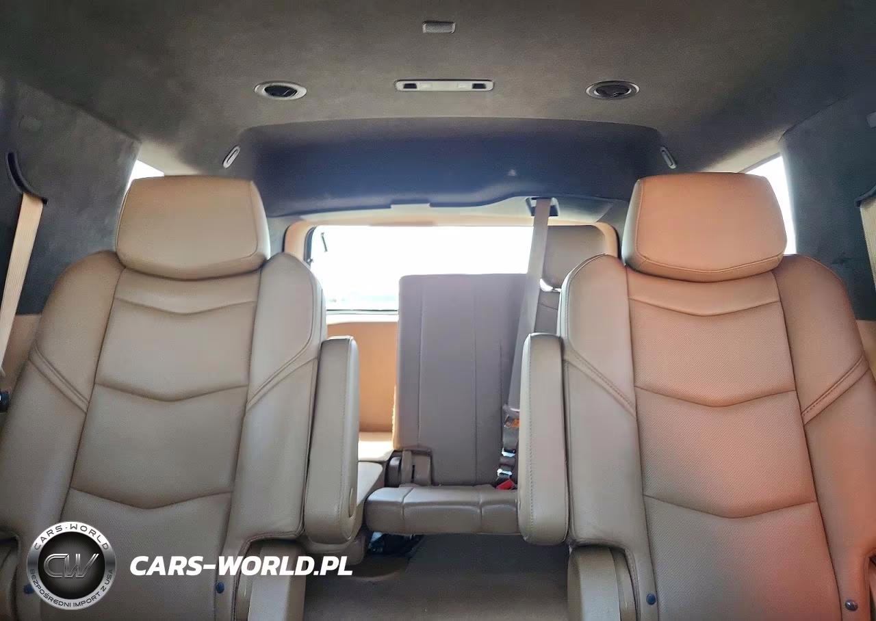 2017 Cadillac Escalade Platinum VIN:1GYS4DKJXHR287598 - 10