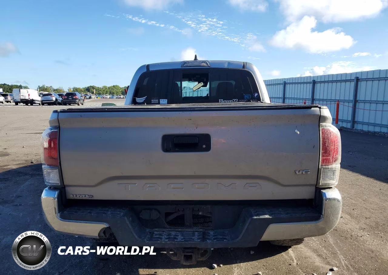 2020 Toyota Tacoma Trd Off-Road VIN:3TMCZ5AN1LM319967 - 6