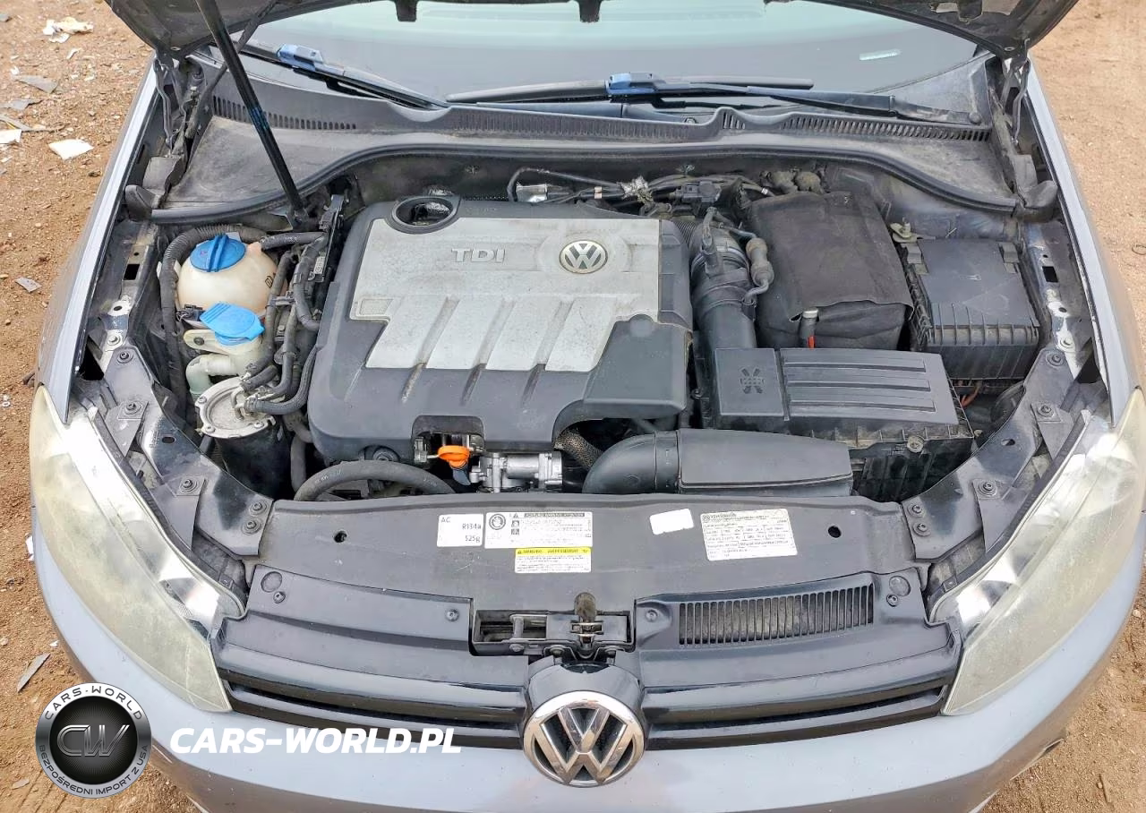 2013 Volkswagen Golf VIN:WVWDM7AJ9DW087261 - 11