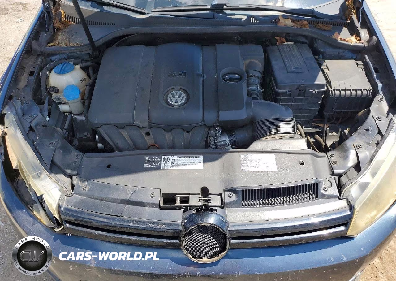 2010 Volkswagen Golf VIN:WVWBA7AJ5AW412354 - 11